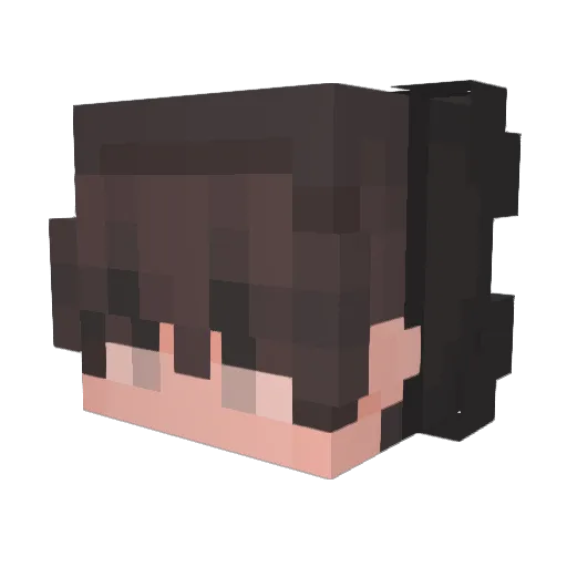 crypticskyz Minecraft avatar head, 3D render