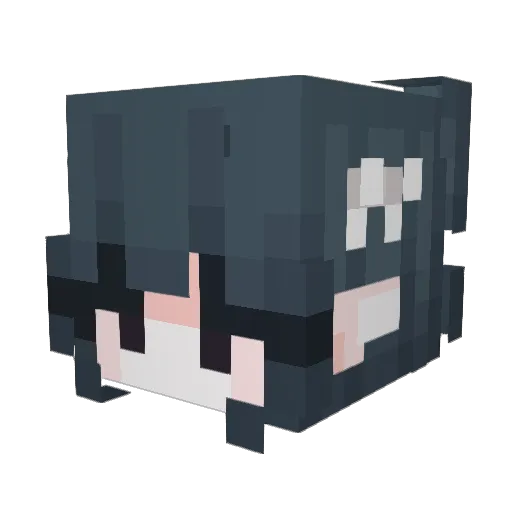 cryptidcowboy Minecraft avatar head, 3D render