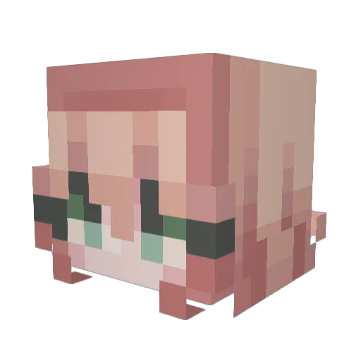 cryptidcroww Minecraft avatar head, 3D render
