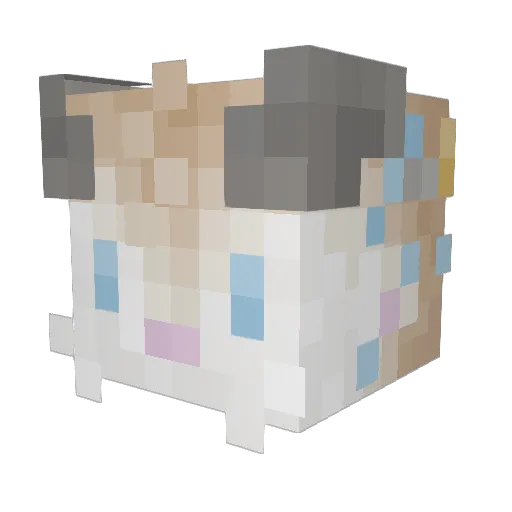 cryptidio Minecraft avatar head, 3D render