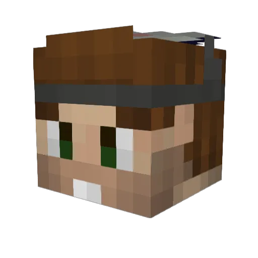 cryptonx2 Minecraft avatar head, 3D render