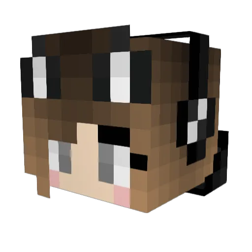 crystalbeez Minecraft avatar head, 3D render