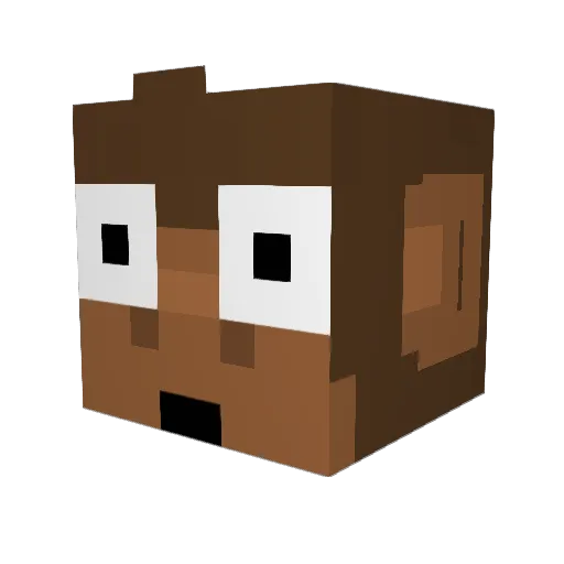 cs6_ Minecraft avatar head, 3D render
