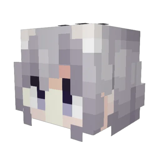 csdeTR Minecraft avatar head, 3D render