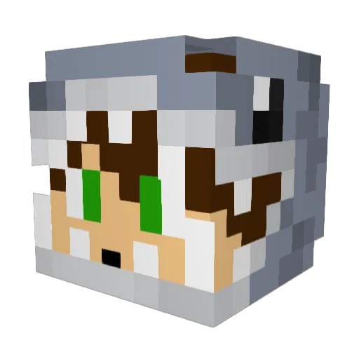 cshark2004 Minecraft avatar head, 3D render