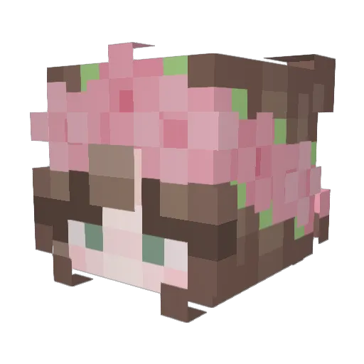 csilu Minecraft avatar head, 3D render