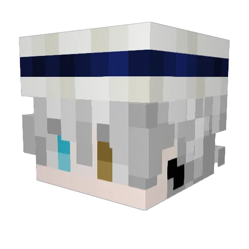 cskoli Minecraft avatar head, 3D render