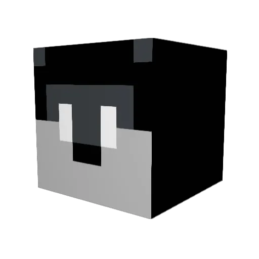 csksky Minecraft avatar head, 3D render
