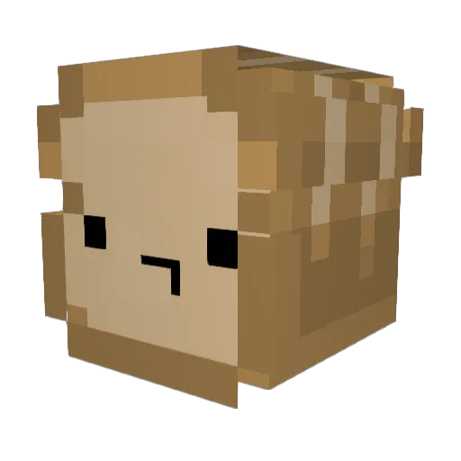 cslayer12 Minecraft avatar head, 3D render
