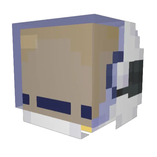 csm0 Minecraft avatar head, 3D render