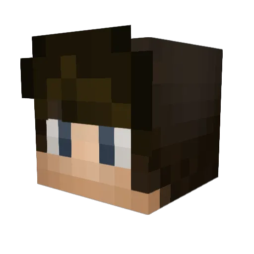 cspray2005 Minecraft avatar head, 3D render