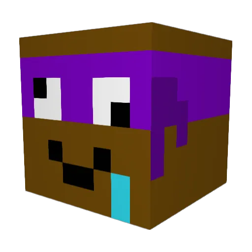 csrPlayz Minecraft avatar head, 3D render