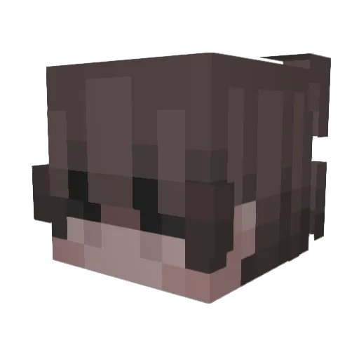 cssjuan Minecraft avatar head, 3D render