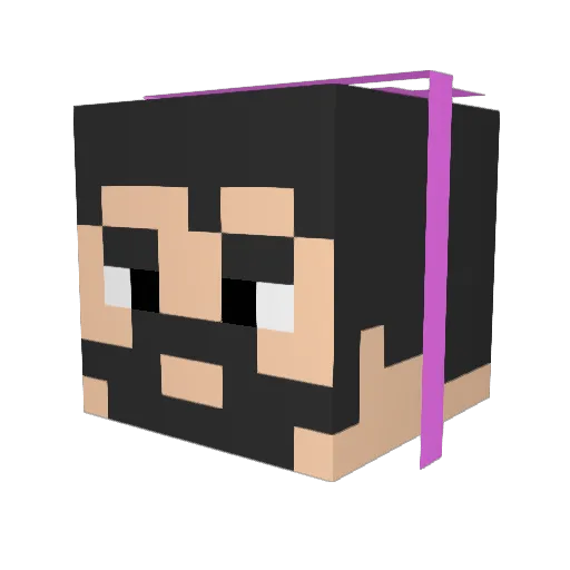 cssn Minecraft avatar head, 3D render