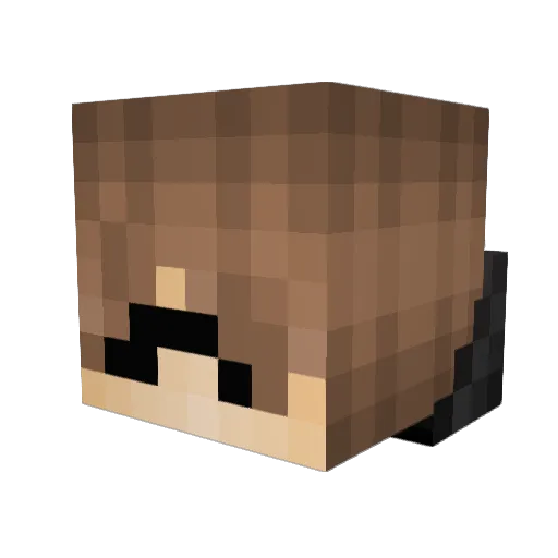 cstelzer_turtle Minecraft avatar head, 3D render