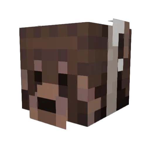 cstrez0 Minecraft avatar head, 3D render