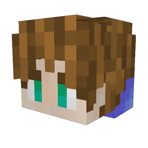 cswhtt_ Minecraft avatar head, 3D render