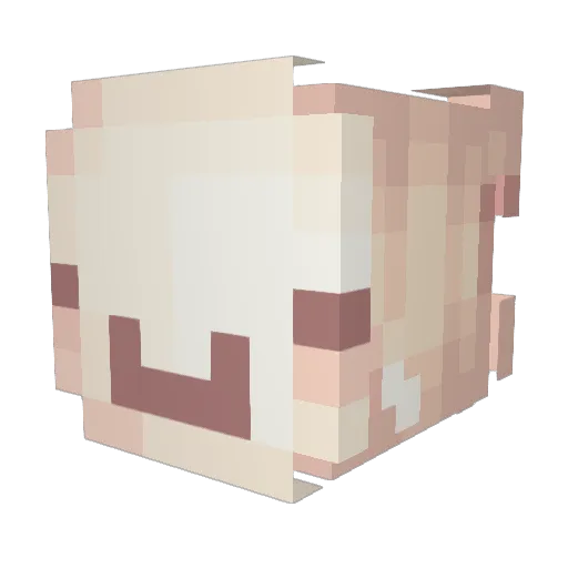 cton223 Minecraft avatar head, 3D render