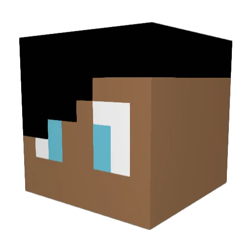 ctoneinspace Minecraft avatar head, 3D render