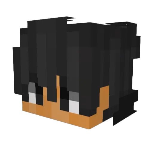 ctrail87 Minecraft avatar head, 3D render