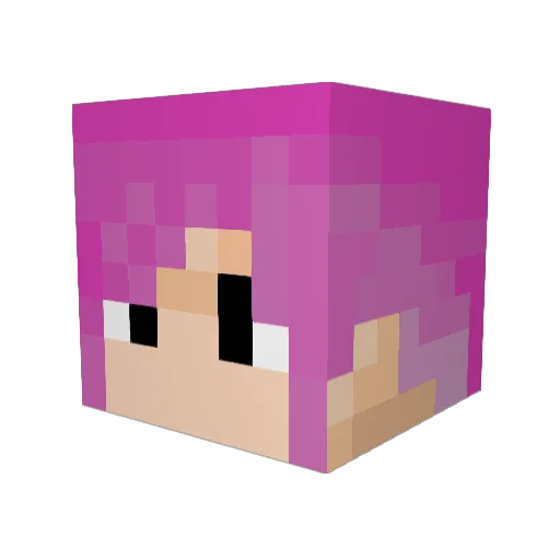 ctrl_modl Minecraft avatar head, 3D render