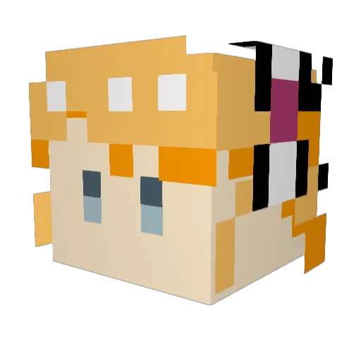cttjing Minecraft avatar head, 3D render
