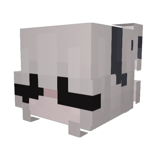 cuapcaker Minecraft avatar head, 3D render