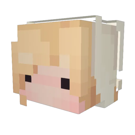 cubeozoa Minecraft avatar head, 3D render