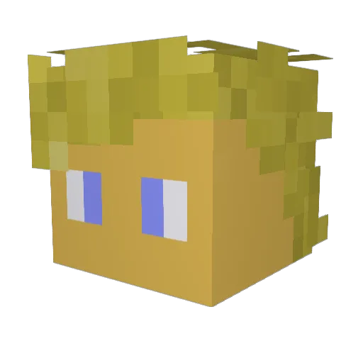 cubsfan3635 Minecraft avatar head, 3D render