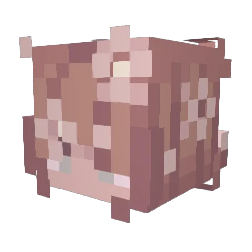 cuddleBun7223 Minecraft avatar head, 3D render