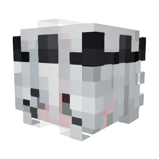 cuervo131420 Minecraft avatar head, 3D render