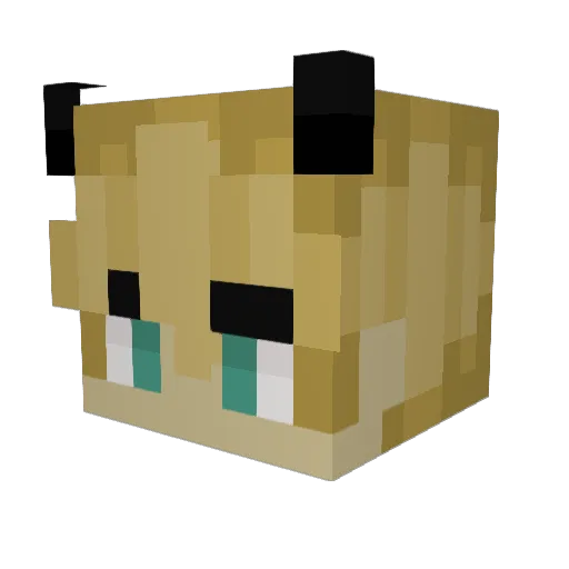 cukr1 Minecraft avatar head, 3D render