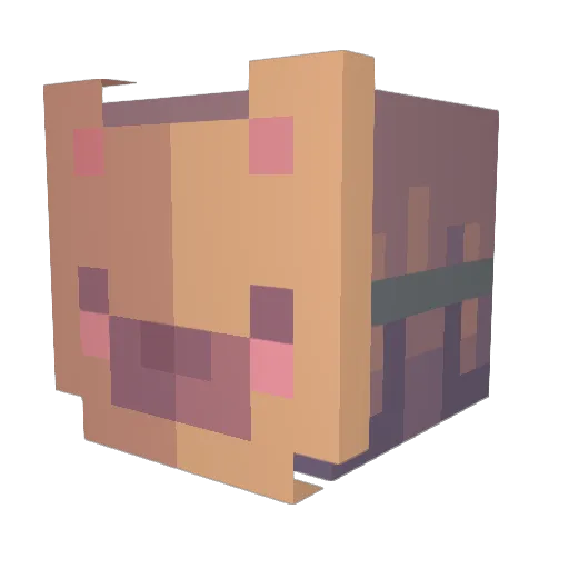 cumfreq Minecraft avatar head, 3D render