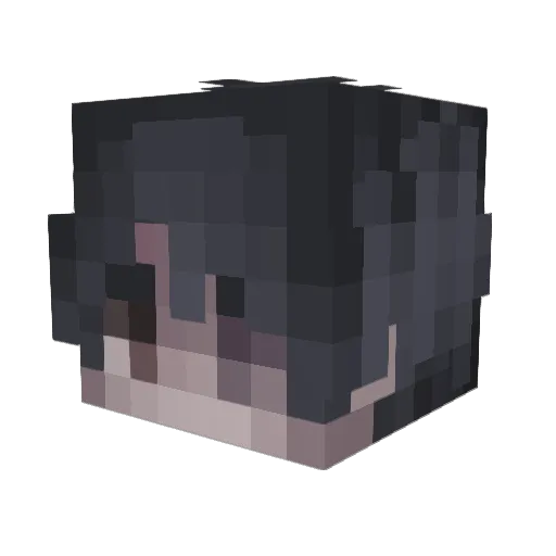 cunaistyle Minecraft avatar head, 3D render