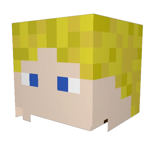 cup16 Minecraft avatar head, 3D render