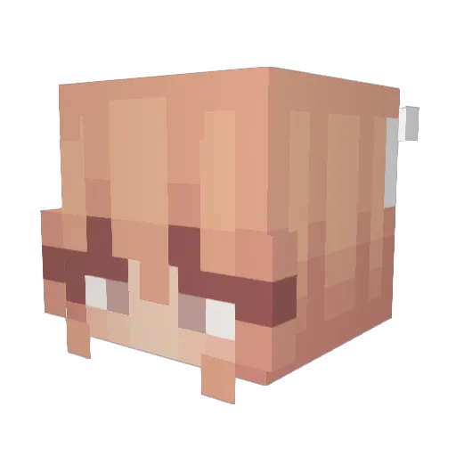 cupcake150 Minecraft avatar head, 3D render
