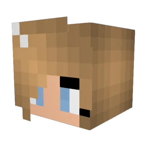 cupcake29992 Minecraft avatar head, 3D render