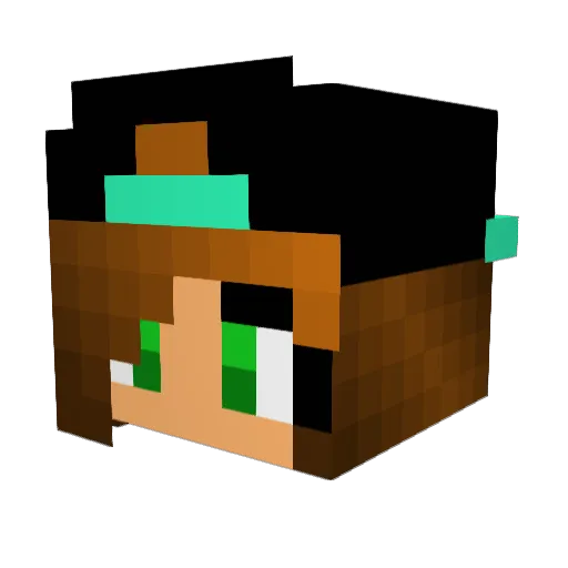 cupcake37045 Minecraft avatar head, 3D render