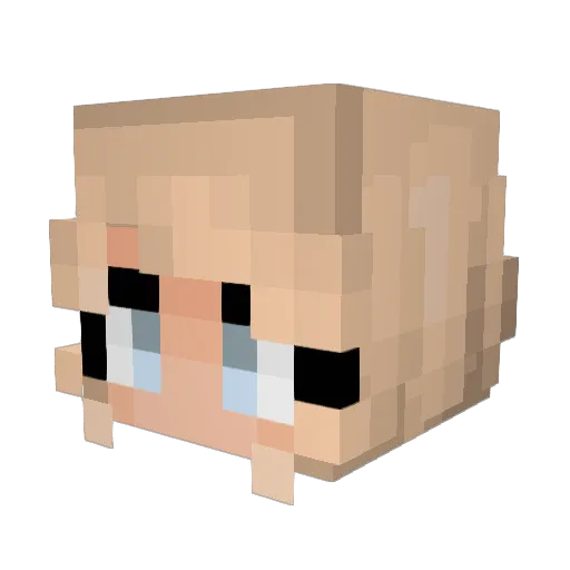 cupcake8276 Minecraft avatar head, 3D render