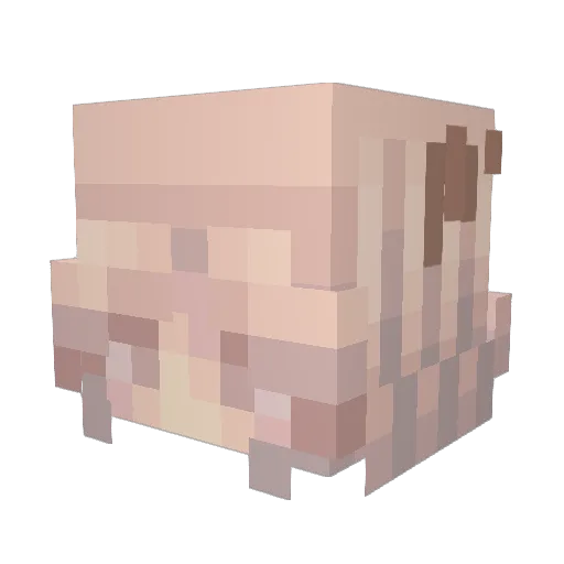 cupcake_sky Minecraft avatar head, 3D render