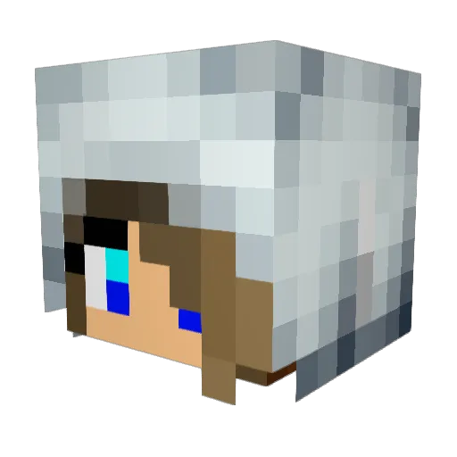 cupcakeolivia Minecraft avatar head, 3D render