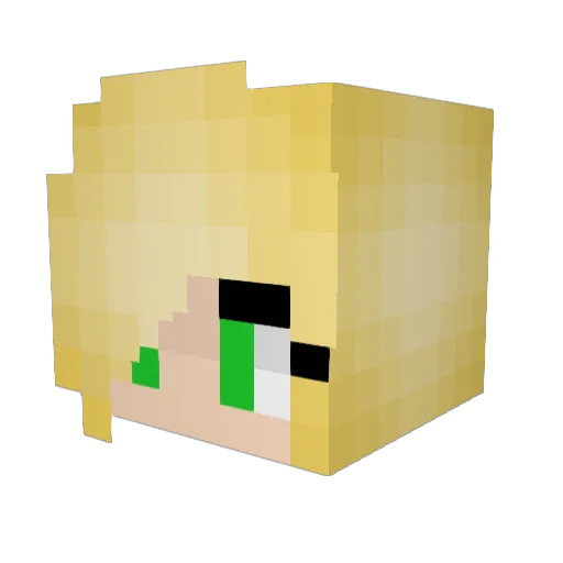 cupcakes2433 Minecraft avatar head, 3D render