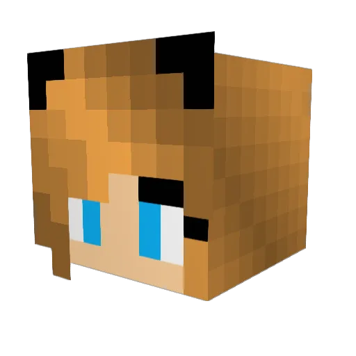 cupcakewonder101 Minecraft avatar head, 3D render