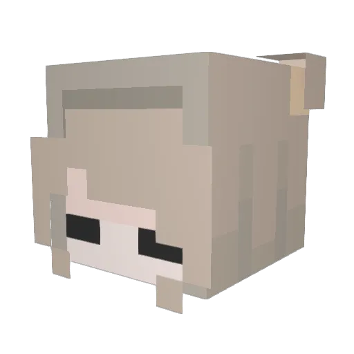 cupidile Minecraft avatar head, 3D render