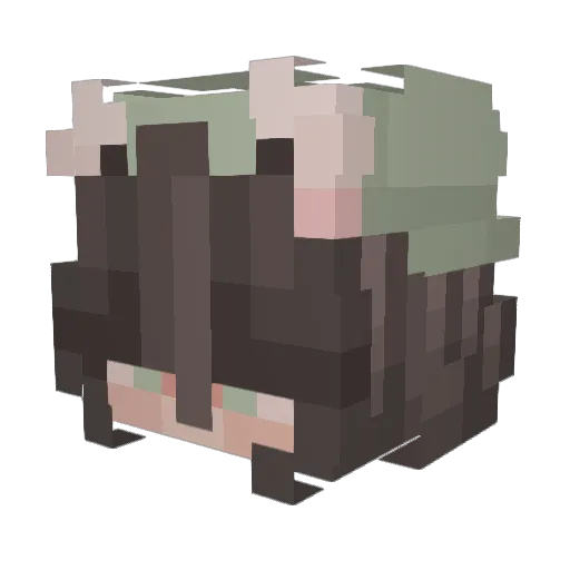 cupidsdesires Minecraft avatar head, 3D render