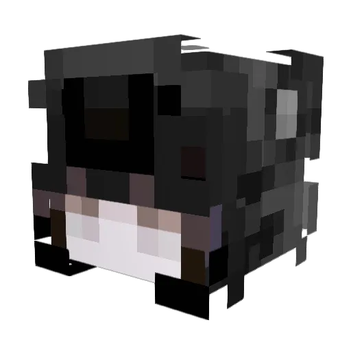 cupidspaws Minecraft avatar head, 3D render
