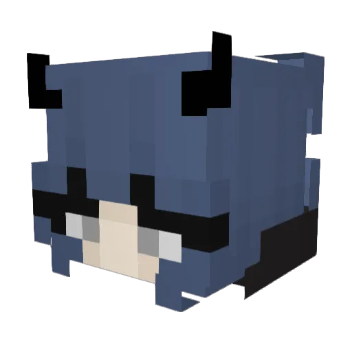 cuppycake5 Minecraft avatar head, 3D render