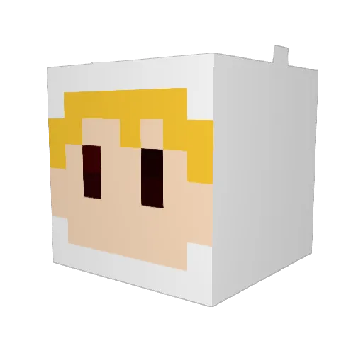 cupquakester Minecraft avatar head, 3D render