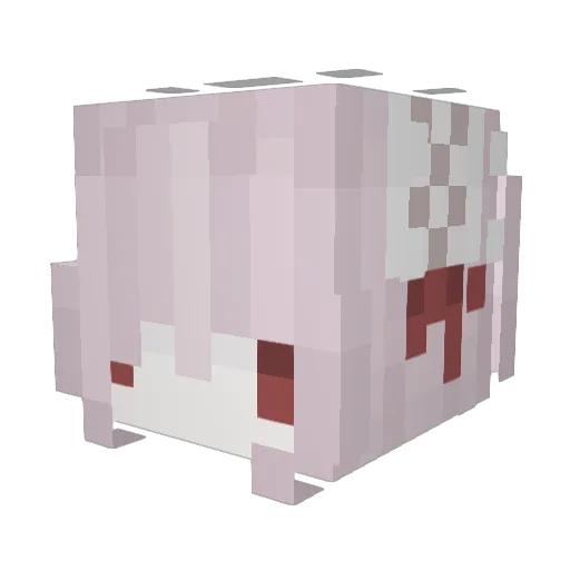 curemysorrow Minecraft avatar head, 3D render
