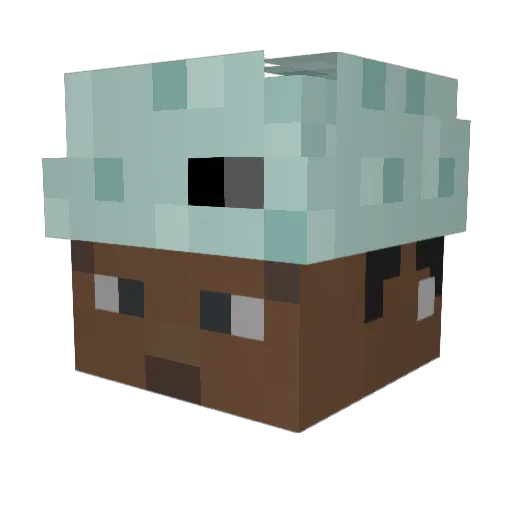 curryeter Minecraft avatar head, 3D render